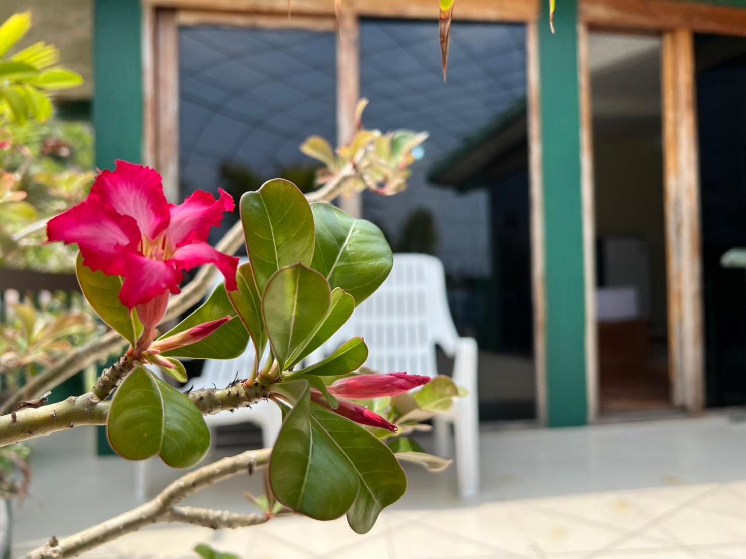 Hin Wong Apartments Dive & Snorkel Resort Тау Экстерьер фото